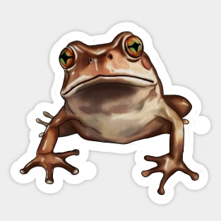 Brown Frog, Tropical Animal, Love Frogs Sticker